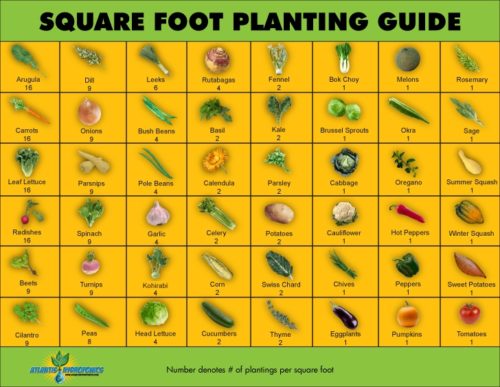 sq-ft-planting-guide
